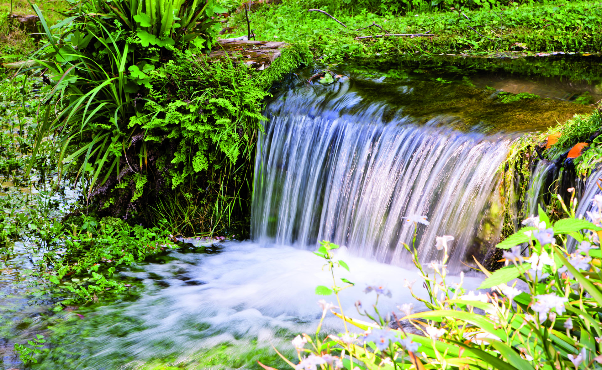 Elevated view of a cascade in a wood, long exposure